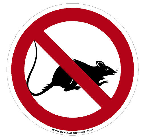No Rats - Click Image to Close