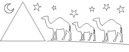 Camel Scene