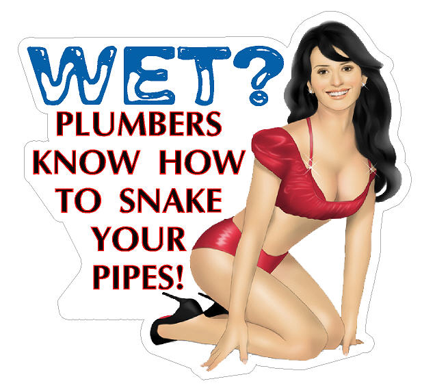 Plumber - Know How To Snake Your Pipes