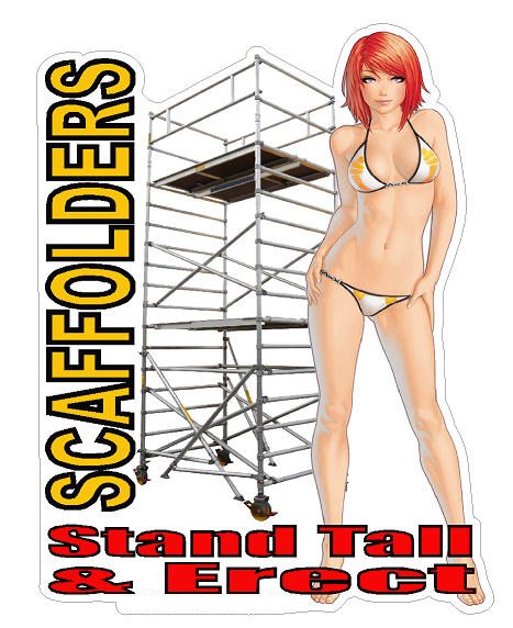 Scaffolders - Stand Tall & Erect